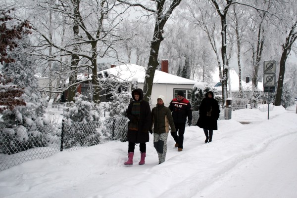 Winterimpression Zingst, 2010 © Heinz Ramacher Winter in Zingst