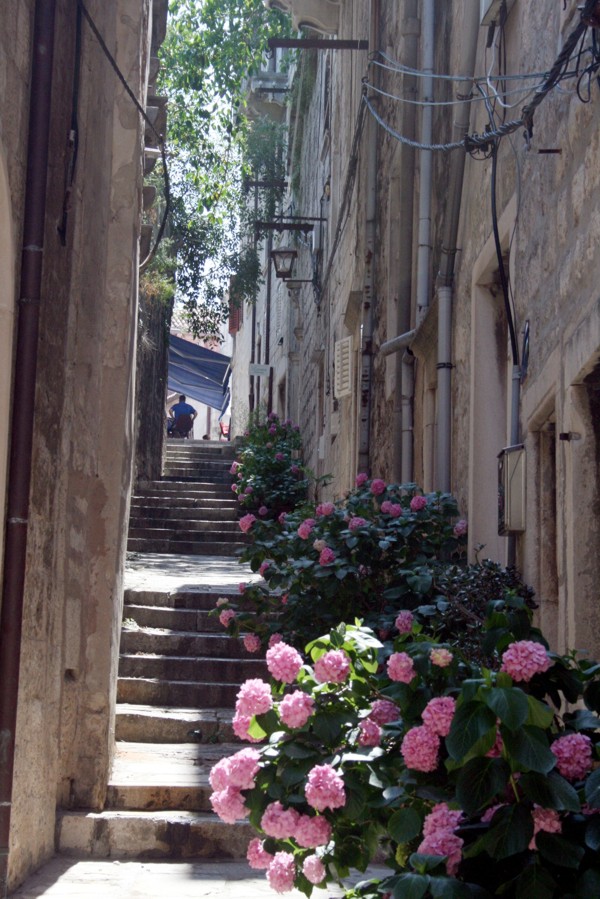 Blumen in einer Gasse in Korcula, 2012 © Heinz Ramacher Blumen in einer Gasse in Korcula
