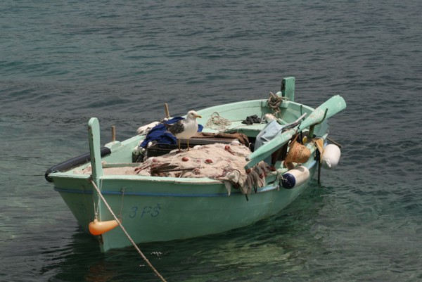 Boot im Hafen von Primosten