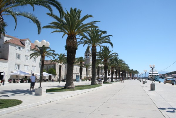 Palmen auf der Promenade in Trogir, 2012 © Heinz Ramacher Palmen auf der Promenade in Trogir