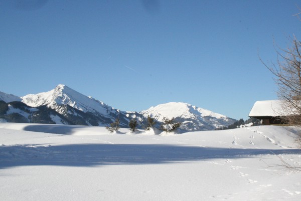 Winterlandschaft im Tannheimer Tal